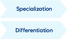 Specialization Differentiation